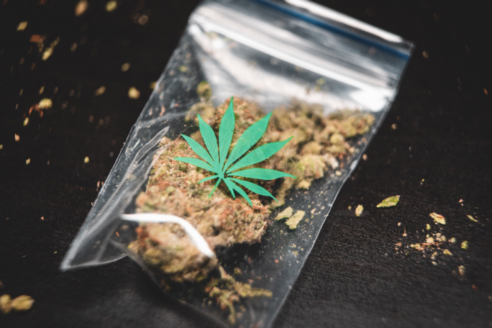 Using Data to Build Your Cannabis Brand - GCI Content Hub - Global Cannabis Intelligence